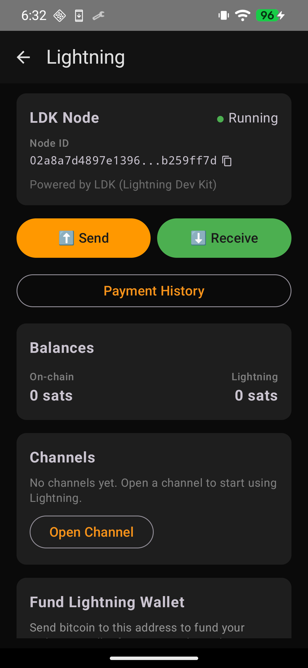 Lightning send and receive